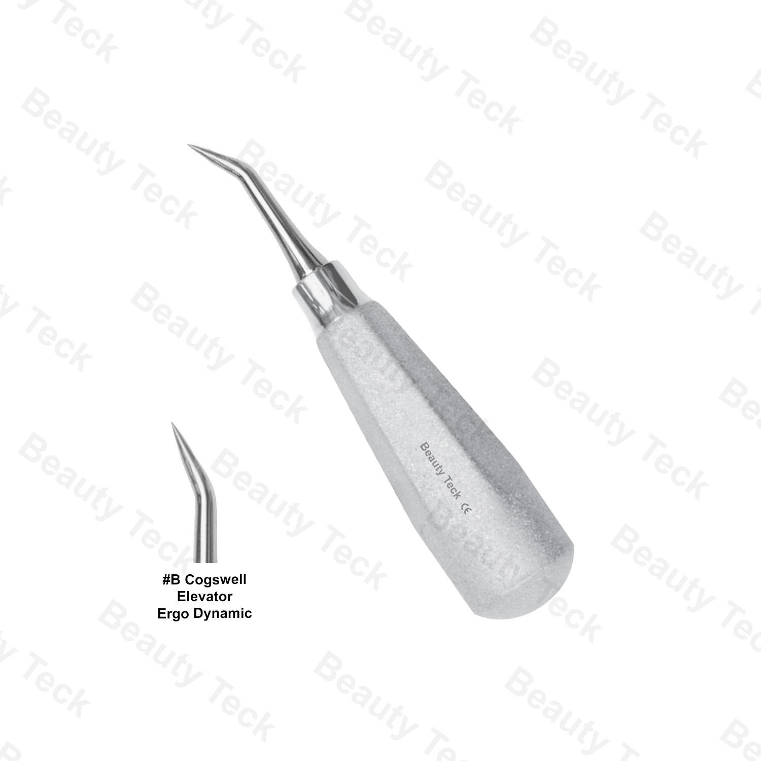 ROOTS ELEVATORS B COGSWELL ELEVATOR ERGO DYNAMIC