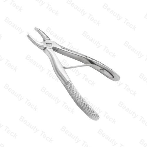 Upper Incisors and Canines EF