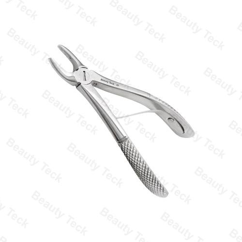 Upper Molars EF