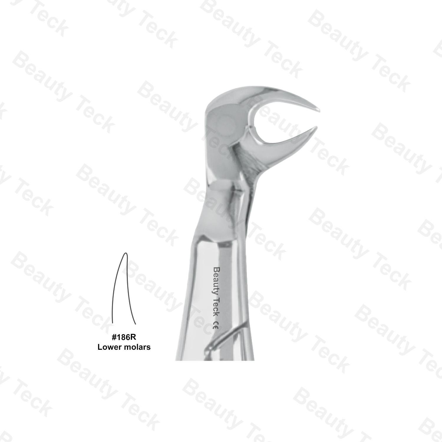 WISDOM EXTRACTING FORCEPS 186 R ENGLISH PATTERN (LOWER MOLARS)