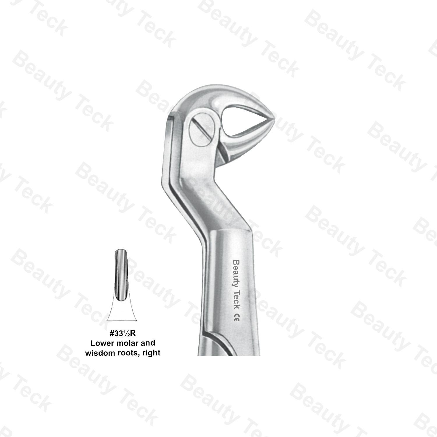 WISDOM EXTRACTING FORCEPS ROUTURIER 33 1/2 R  ENGLISH PATTERN (LOWER MOLAR & WISDOM ROOTS , RIGHT)