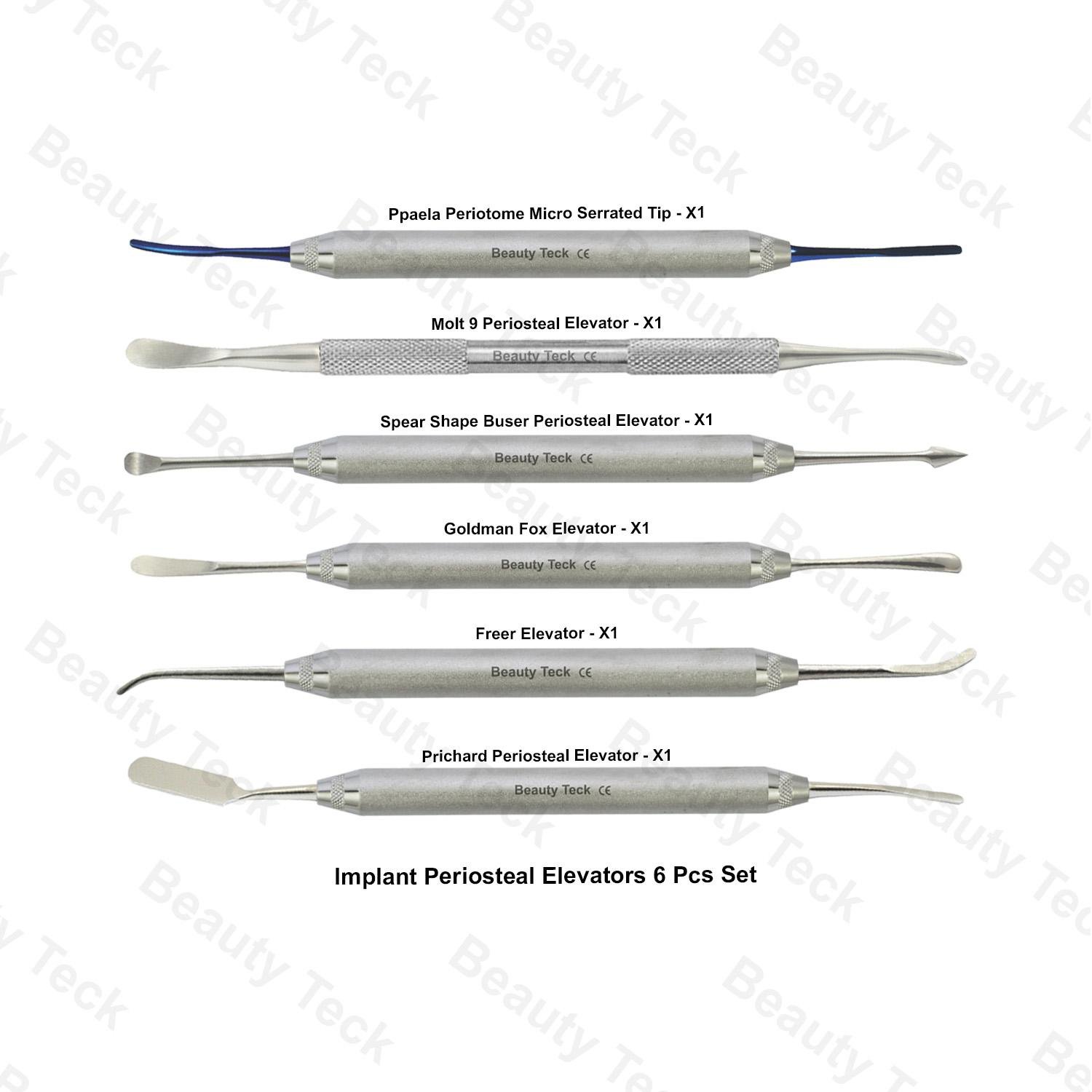 X6 PERIOSTEAL ELEVATORS PPAELA GUM LIFT OSSEUSE DENTAIRE SET OF 6 PCS